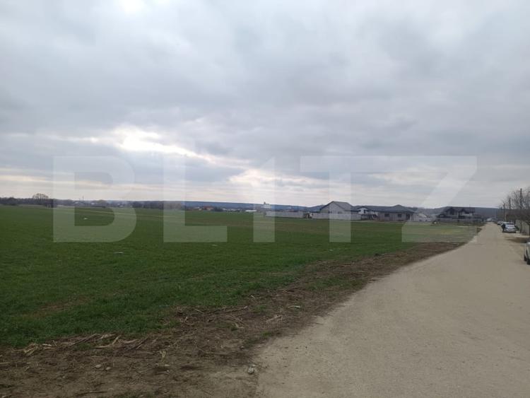 Teren 7.200 mp cu toate utilitatile la front asfaltat, Man. Jitianu, Braniste - 4