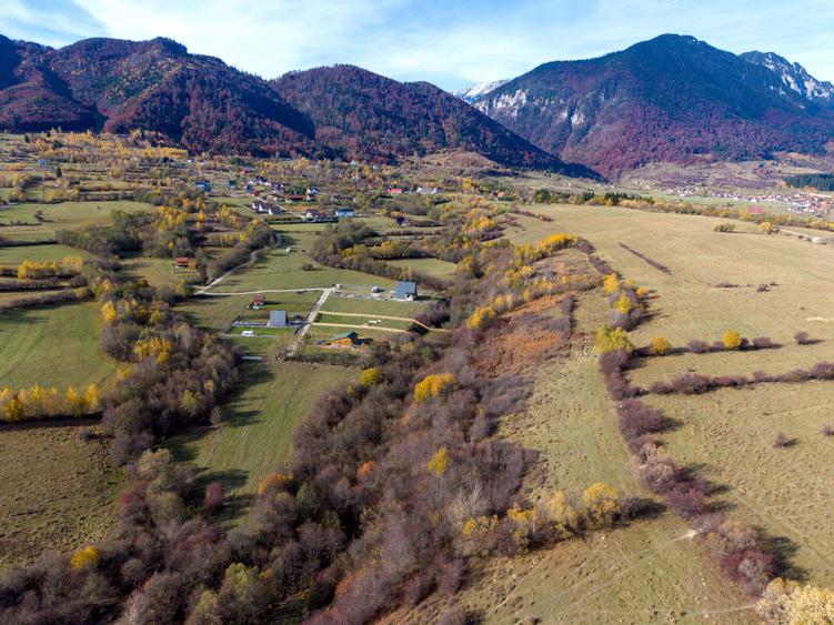 Teren intravilan 5723mp Zarnesti Tohanita- case de vacanta,investitie in turism - 13