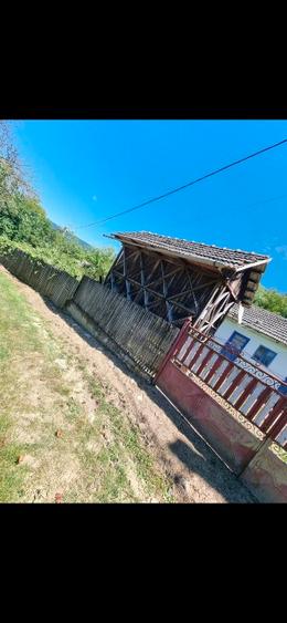 Gospodarie plus terenuri de vânzare  - 14