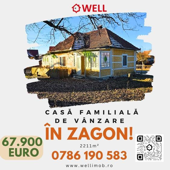 Casă familială de vânzare în Zagon! - 1