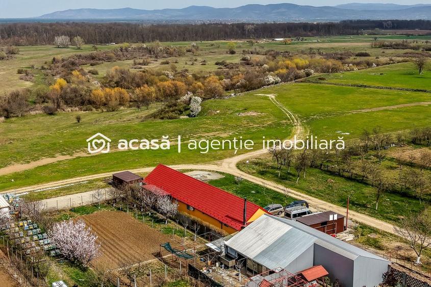 Casă modernă (2021) – Priveliște panoramică spre Lunca Mureșului - 2