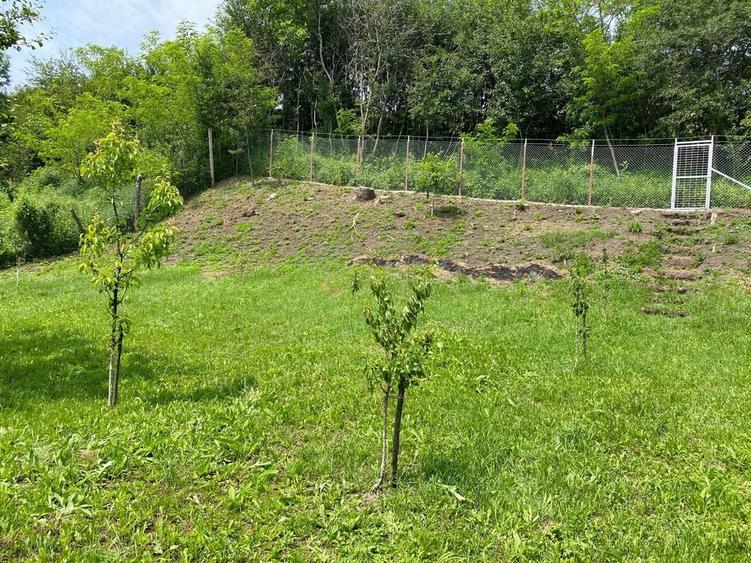 Teren de vanzare in Aiton - 1