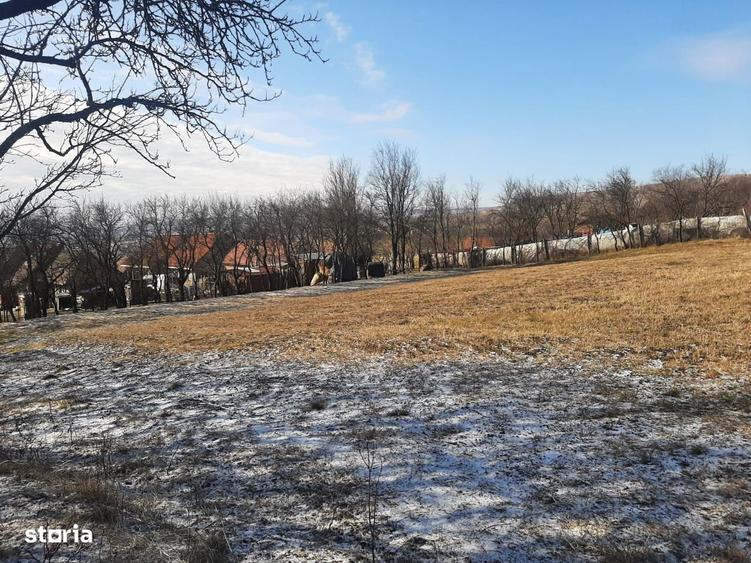 Teren de vanzare in Rediu - 3