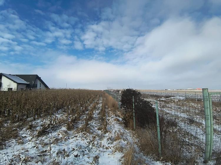 Teren de vânzare Șcheia | Sfantu Ilie | 3.361 mp - 7