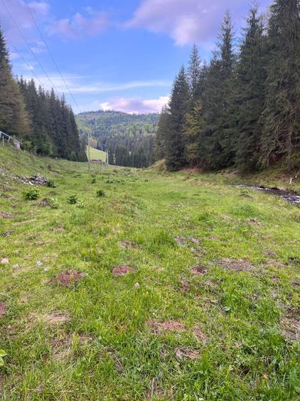 Teren intravilan Arieseni - 1250 mp - langa drum asfaltat - 8