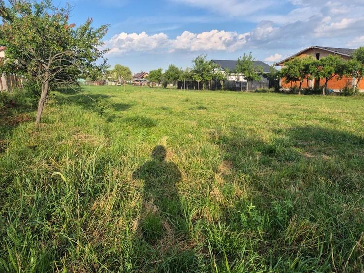 Teren intravilan de vanzare Smeura Hintesti - 14