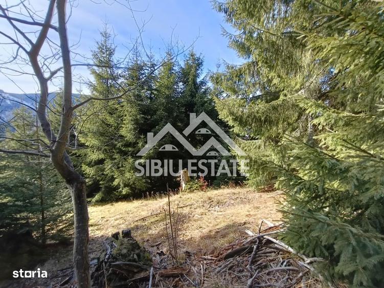 Teren de vanzare in zona montana a judetului Alba - 2