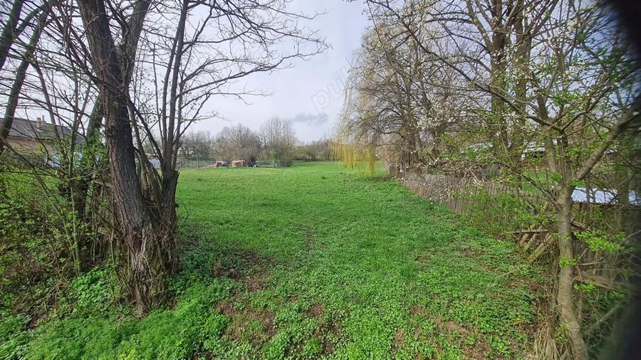 4.86euro mp - Teren casa intravilan deschidere 40m - 2650mp - 1