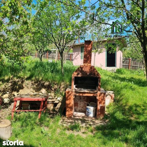 Casa de vacanta Vernesti- Niscov - la padure ! - 15