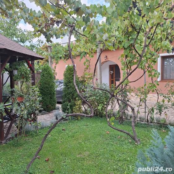 Vand casa caramida an 2000 - 9