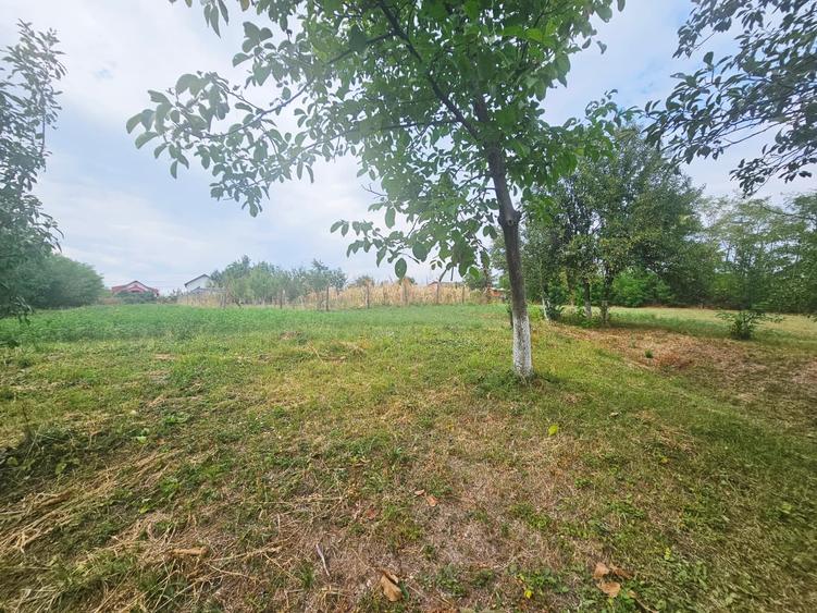 Teren intravilan, cu priveliște– Vălenii de Munte - 6