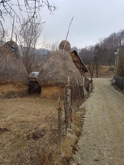 Teren 1700 mp str Glodeanu - 4