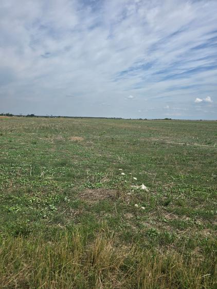 Mosnita Veche - 11 parcele - 10800 mp- CF individuale - 5