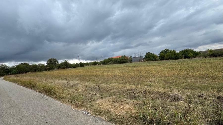 Parcul National Comana, Sat Vlad Tepes, Comuna Comana, jud.Giurgiu - 9