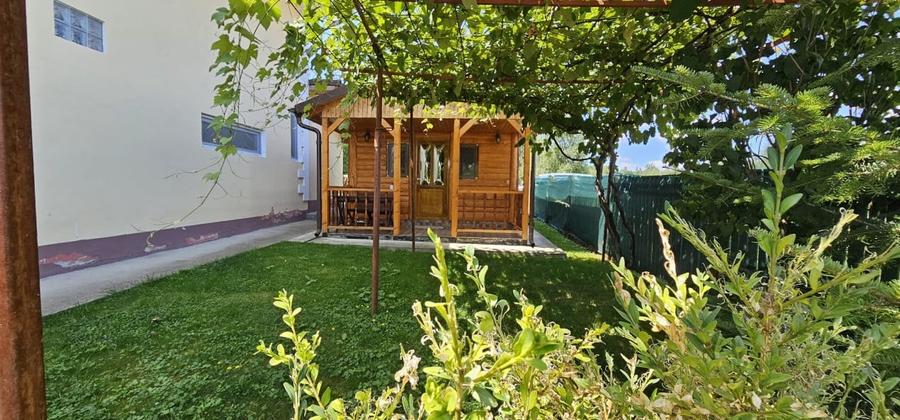 CASA VACANTA-zona pitoreasca minunata - 15