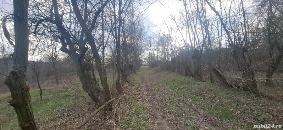 Teren de 4900 mp, în Central