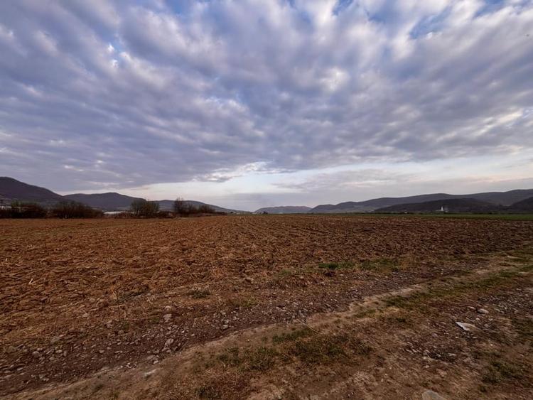 Teren agricol extravilan de 2500 mp, în Sud