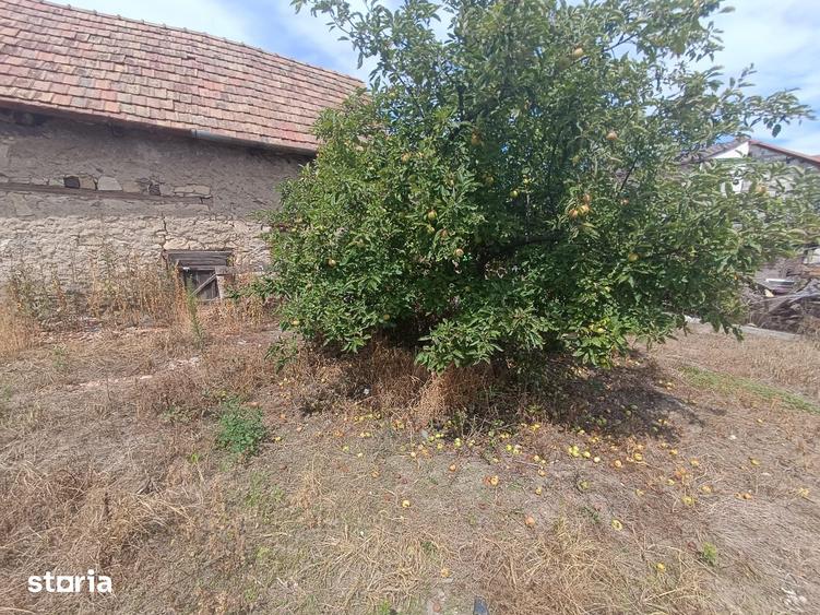 Teren de 879 mp, în Someșeni