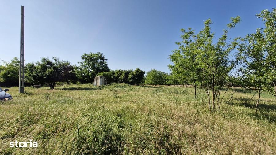 Teren de 2400 mp, în Dor Mărunt