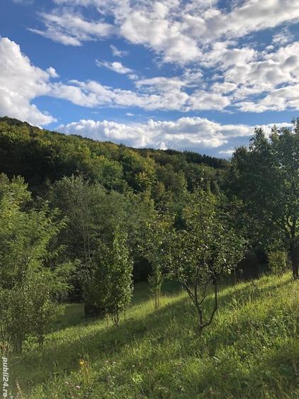 Teren de 9104 mp, în Brebu