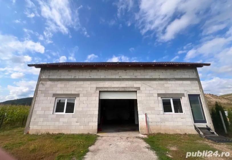 casa de locuit+afacere la cheie servis auto - 2