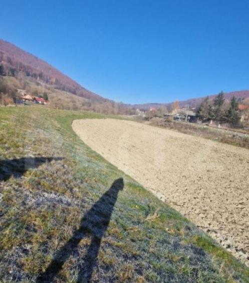 Teren extravilan - Sita Buzaului -6800 mp posibilitate trece - 8