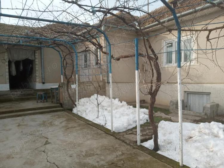 Casa la tara, jud Tulcea - 5