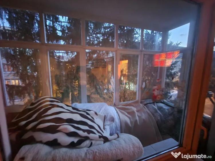 Apartament 3 camere, 65.00 mp, Aleea Aurora - 7