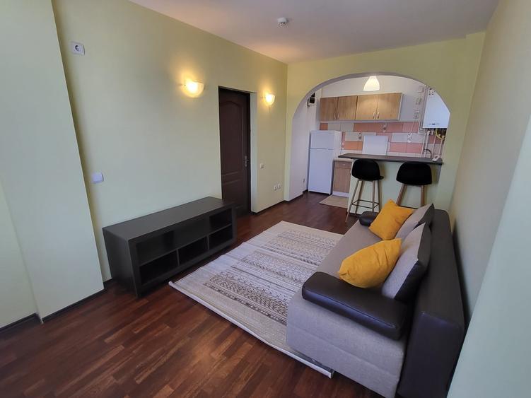 Apartament cu 2 camere, PET FRIENDLY, zona Bucium - OMV - 7