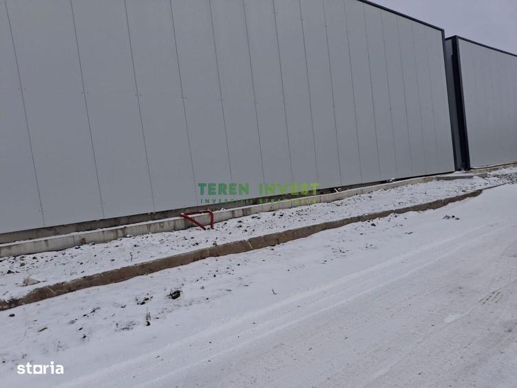 Vanzare hala depozitare - Drumul Intre Tarlale - 9