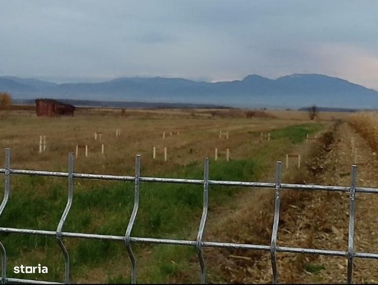 Teren intravilan agricol. - 3