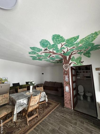 Cabana de inchiriat - 2