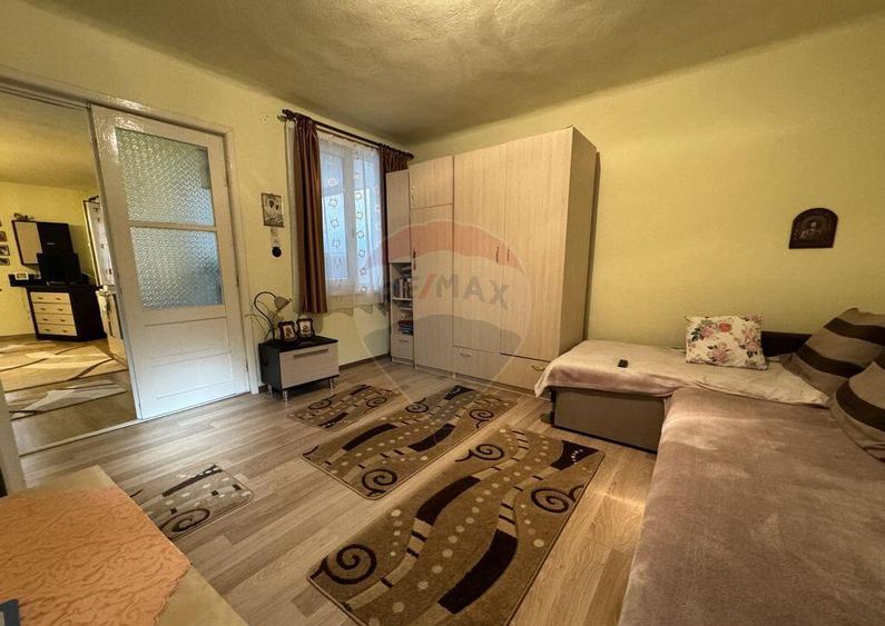 Casa in cartierul Vasia - 9