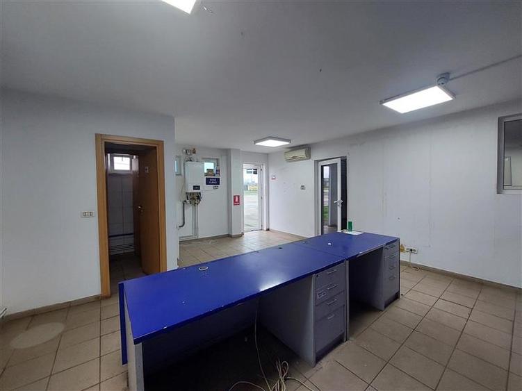 3 hale de inchiriat in Micalaca - 18