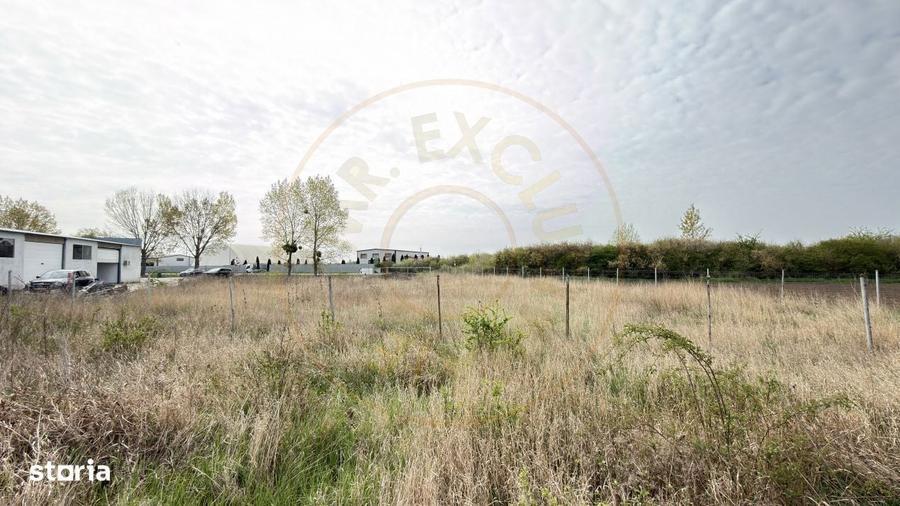 Teren Intravilan 1300 mp / Extravilan 3.700 mp/ DJ 196B Carei (DN 1F) - 8