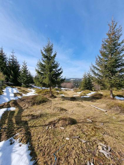 Vand Teren in sat Maguri, com. Maguri Racatau - 4