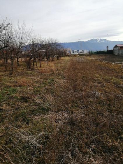 Teren intravilan Ghimbav - 4