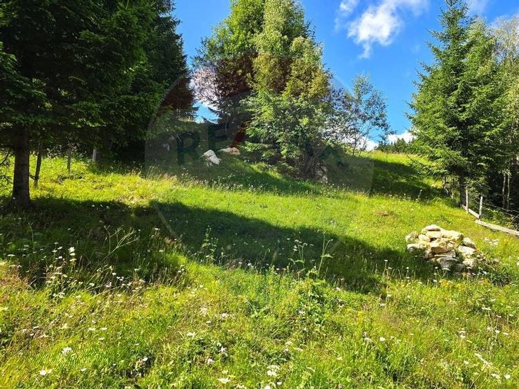 Teren de vis în Fundata 1934mp sau 3868mp, la înălțimea sufletului tău - 6