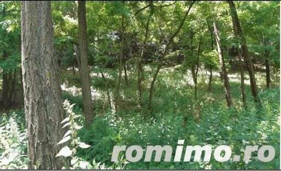 Teren Didesti, ID: R2058941 - 6