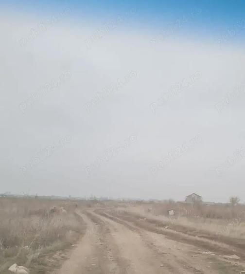 Vanzare Teren intravilan 5000mp Magurele - 7