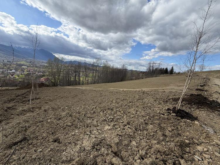 Vand teren in Bran - Sohodol 1000 mp - 6