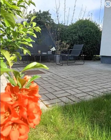 Apartament la casa Cartierul Arhitectilor - 1