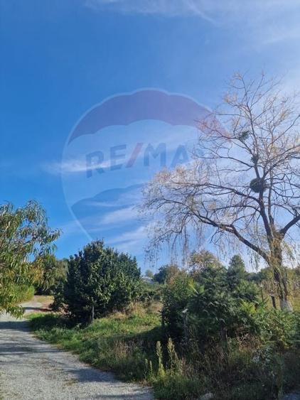 OCAZIE.  De vanzare teren în Cicarlau - Strada 1 Mai - super pret - 2