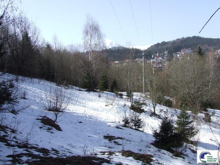 Teren investitional in Predeal-Cioplea - 5