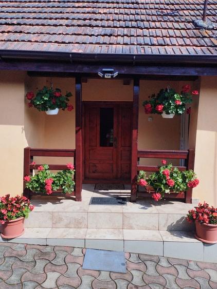 Vand casa in jud. Timis, com Margina, sat Costeiu de sus - 5