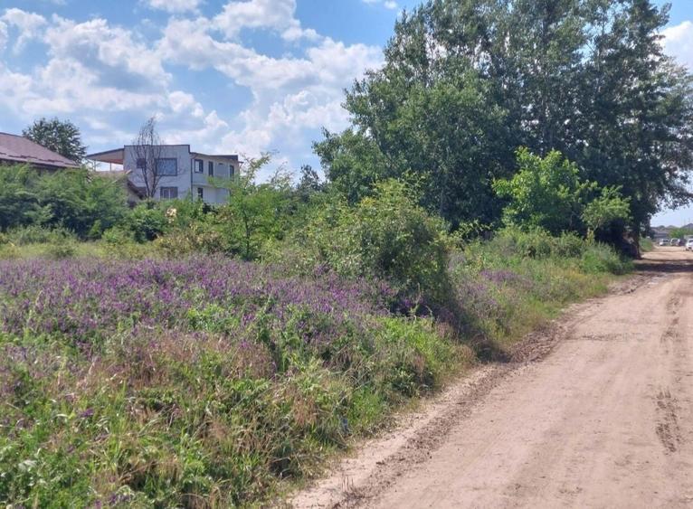 Teren intravilan Pantelimon - 2