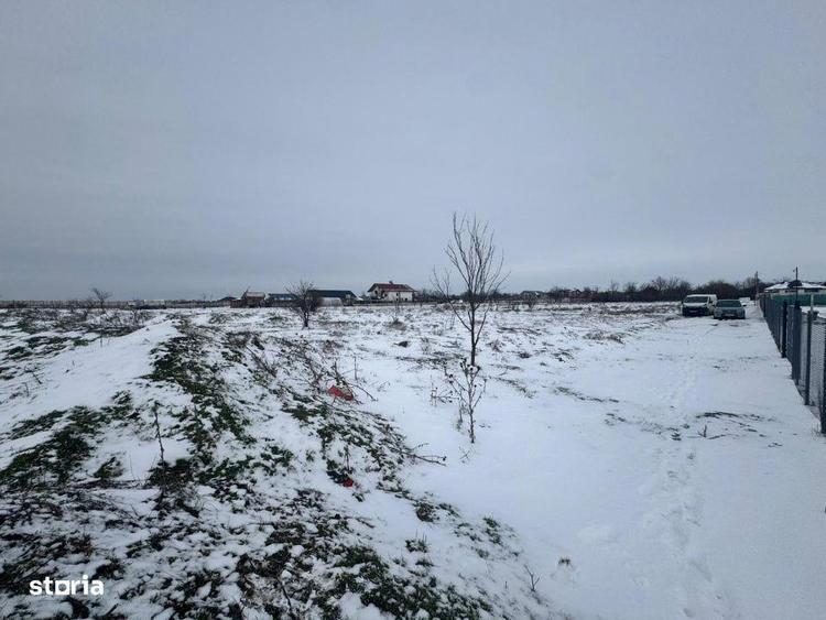 Teren 2500 mp Malu Mare, deschidere la drum asfaltat, vedere spre raul - 3