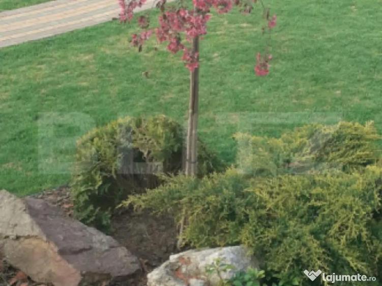 Casa/Vila 236 mp utili, 2743 mp teren, zona Mereni - Salcea - 6