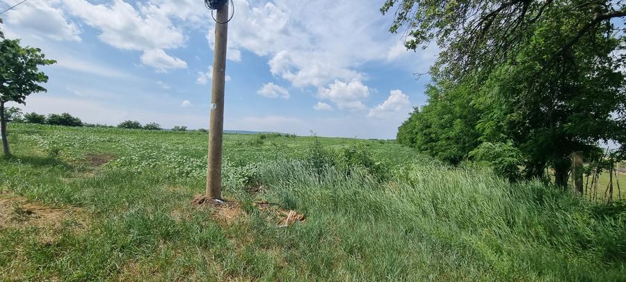 Teren intravilan Catamarasti Deal - 1