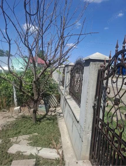 Vand casa comuna Ciocanesti , Judetul Calarasi ,Pret Negociabil 1200mp - 2